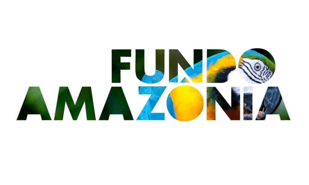 Contribuição para a preservação da Amazônia, Doações internacionais para combate ao desmatamento