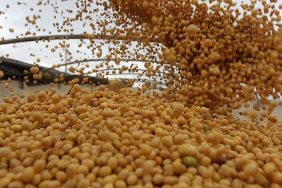exportação de soja, envios de soja, comércio de soja