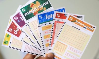 sorteios, loteria