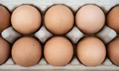 ovos, egg;