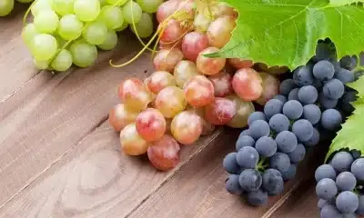 fruta, raça, uva