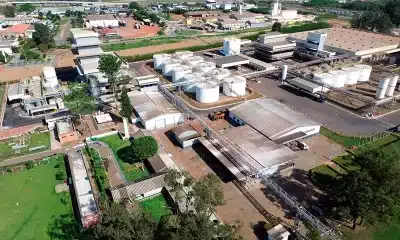 produção agroindustrial brasileira, setor agroindustrial;