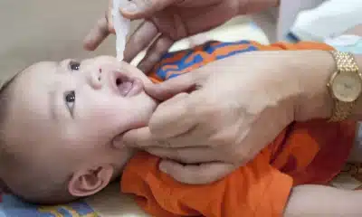 vacina, inoculação, immunização, vacinação, inoculante