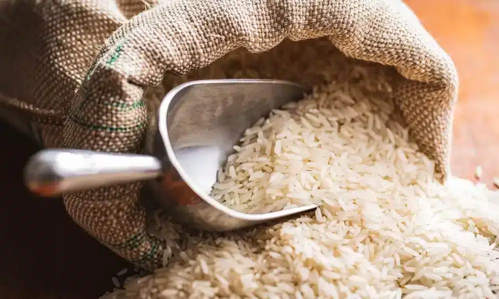arroz-importado, cereal-no-País, safra-2023-24;